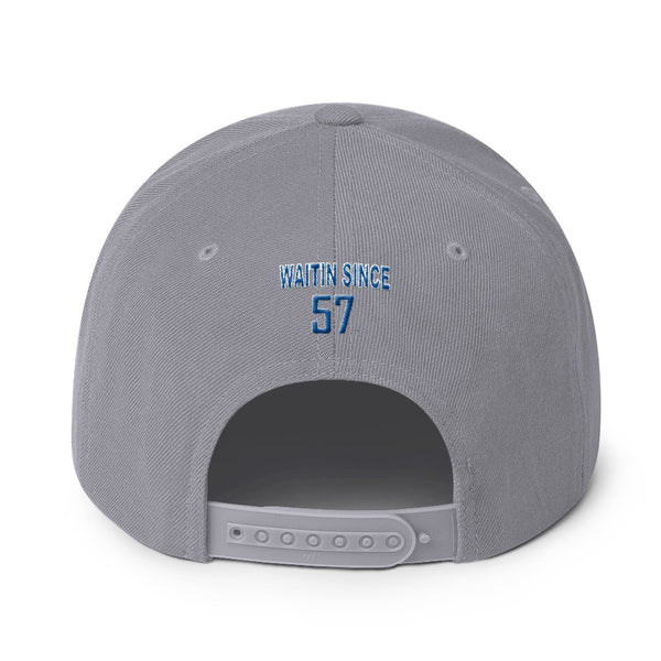 LIONS Snapback Hat