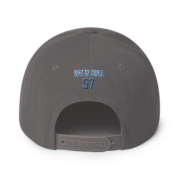 LIONS Snapback Hat